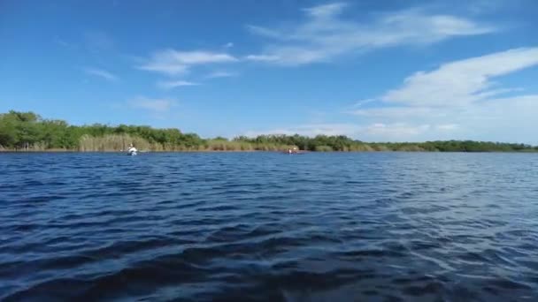 Active senior and young woman kayaking in Everglades National Park 4K. — Stockvideo