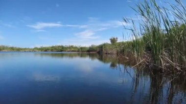 Everglades Ulusal Parkı 'ndaki Nine Mile Pond' da öğleden sonra kano, Florida 4K.