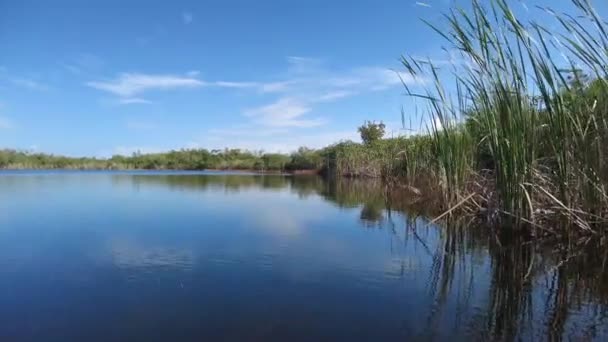 Sore kayak di 9 Mile Pond di Everglades National Park, Florida 4K. — Stok Video