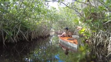 Everglades Ulusal Parkı 4K 'da Nine Mile Pond' da kayak yapan genç bir kadın..