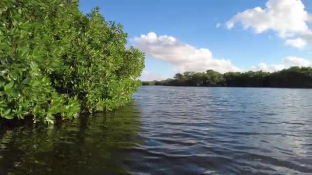 Tarde kayak en Paurotis Pond en Everglades National Park, Florida 4K. — Vídeo de stock