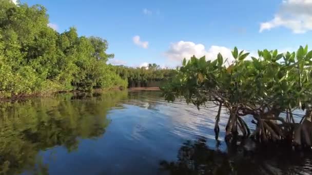 Sore kayak pada Paurotis Pond di Everglades National Park, Florida 4K. — Stok Video