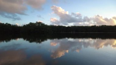 Everglades Ulusal Parkı 4K 'da kayak yapan aktif kıdemli ve genç bir kadın..