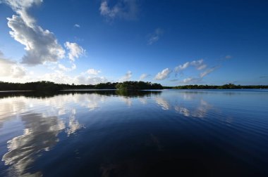 Afternoon winter cloudscape over Paurotis Pond in Everglades National Park.
