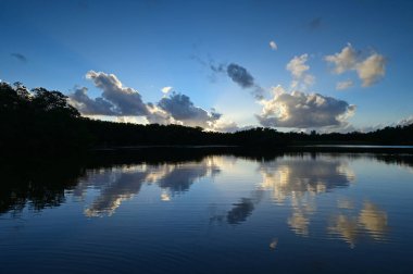 Afternoon winter cloudscape over Paurotis Pond in Everglades National Park.