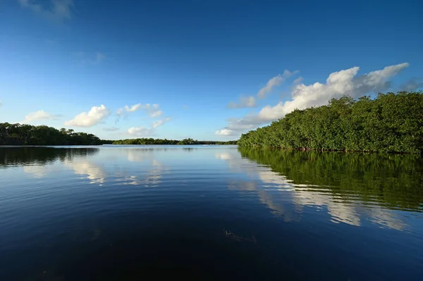 Afternoon winter cloudscape over Paurotis Pond in Everglades National Park. — Foto Stock