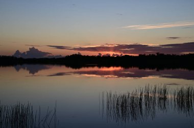 Everglades Ulusal Parkı, Florida 'daki Nine Mile Pond' da gün doğumu.