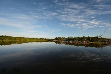 Everglades Ulusal Parkı, Florida 'daki Eco Pond üzerinde sabah bulutları.
