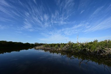 Everglades Ulusal Parkı, Florida 'daki Eco Pond üzerinde sabah bulutları.