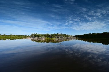 Everglades Ulusal Parkı, Florida 'daki Eco Pond üzerinde sabah bulutları.