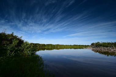 Everglades Ulusal Parkı, Florida 'daki Eco Pond üzerinde sabah bulutları.