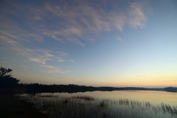 Газ від наказаного опіку на світанку на Nine Mile Pond в Еверґлейдсі. — стокове фото