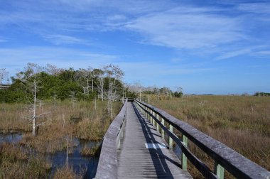 Florida, Everglades Ulusal Parkı 'ndaki Pa Hay Okee' de tahta kaldırım..