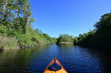 Florida 'daki Büyük Kıbrıs Ulusal Koruma Alanında Kano Turner Nehri.