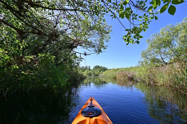 Florida 'daki Büyük Kıbrıs Ulusal Koruma Alanında Kano Turner Nehri. — Stok fotoğraf