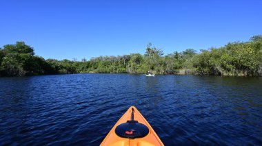 Florida 'daki Büyük Kıbrıs Ulusal Koruma Alanında Kano Turner Nehri.