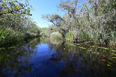 Turner Nehri Büyük Kıbrıs Ulusal Koruma Alanı, Florida.