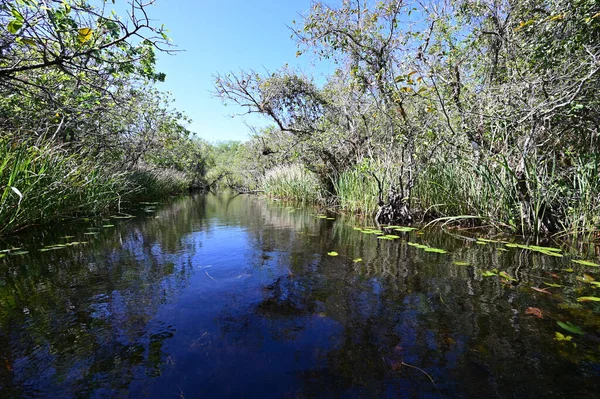 Rzeka Turner w rezerwacie Big Cypress, Floryda. — Zdjęcie stockowe