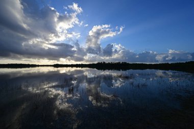 Everglades Ulusal Parkı 'ndaki sakin gölete yansıyan renkli gün doğumu bulutu.