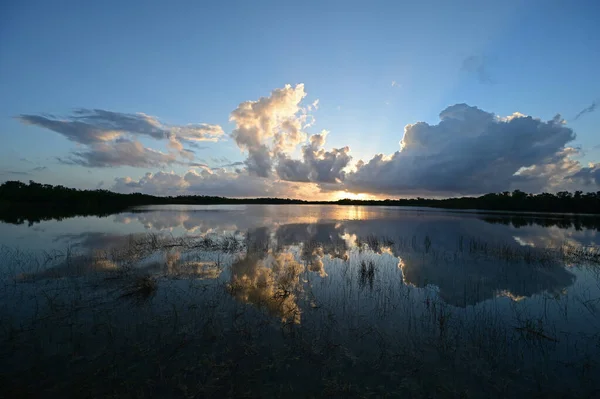 Színes napkelte felhő tükröződik nyugodt tó Everglades Nemzeti Park. — Stock Fotó