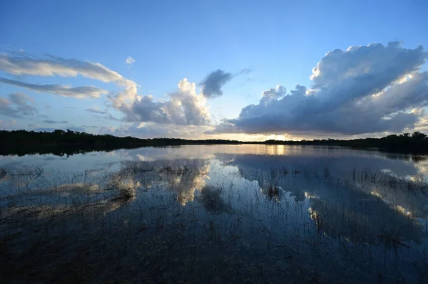 Colorido paisaje nublado del amanecer reflejado en estanque tranquilo en el Parque Nacional Everglades. —  Fotos de Stock