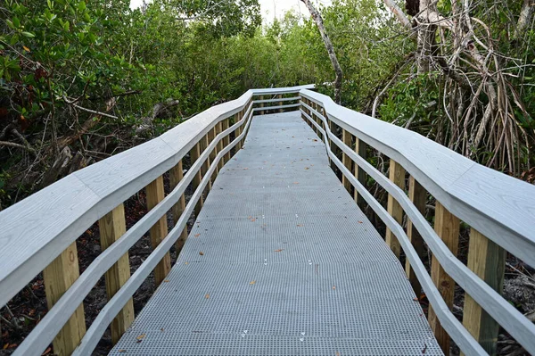 Boardwalk to West Lake in Everglades National Park, Florida. — Stock Photo, Image