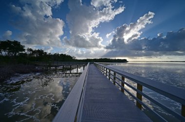 Everglades Ulusal Parkı, Florida 'daki West Lake' e giden tahta yol..