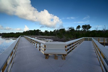 Everglades Ulusal Parkı, Florida 'daki West Lake' e giden tahta yol..