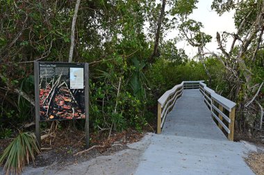 Everglades Ulusal Parkı, Florida 'daki West Lake' e giden tahta yol..