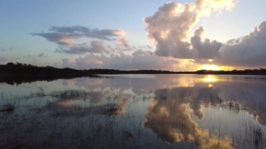 Everglades Ulusal Parkı 'ndaki Nine Mile Pond üzerinde gün doğumu, Florida 4K.