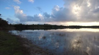 Everglades Ulusal Parkı 'ndaki Nine Mile Pond üzerinde gün doğumu, Florida 4K.