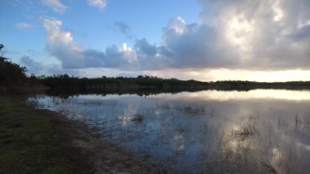 Matahari terbit di atas Nine Mile Pond di Taman Nasional Everglades, Florida 4K. — Stok Video