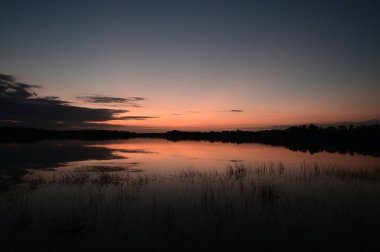 Everglades Ulusal Parkı, Florida 'daki Nine Mile Pond üzerinde renkli bir gün doğumu.