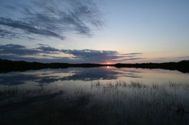 Everglades Ulusal Parkı, Florida 'daki Nine Mile Pond üzerinde renkli bir gün doğumu.