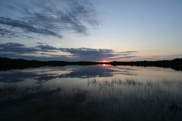 Lever de soleil coloré sur l'étang Nine Mile dans le parc national des Everglades, Floride. — Photo
