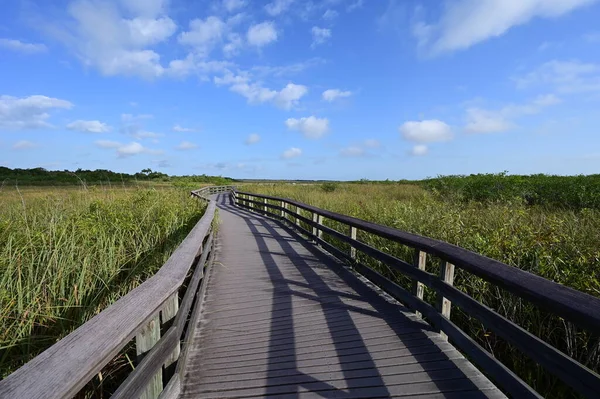 Anhinga Sendero y paseo marítimo en el Parque Nacional Everglades, Florida. —  Fotos de Stock