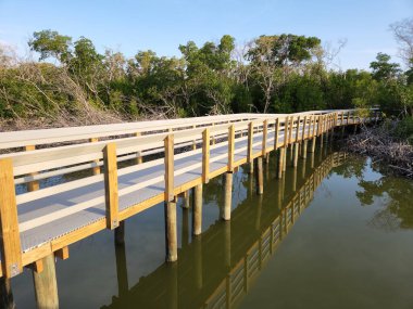Batı Gölü kıyısındaki Boardwalk Everglades Ulusal Parkı, Florida, gün doğumunda.