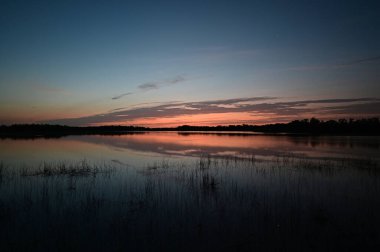 Everglades Ulusal Parkı, Florida 'daki Nine Mile Pond üzerinde gün doğumu bulutu.