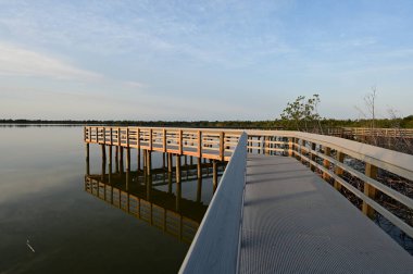 Batı Gölü kıyısındaki Boardwalk Everglades Ulusal Parkı, Florida, gün doğumunda.
