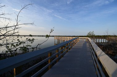 Batı Gölü kıyısındaki Boardwalk Everglades Ulusal Parkı, Florida, gün doğumunda.