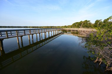 Batı Gölü kıyısındaki Boardwalk Everglades Ulusal Parkı, Florida, gün doğumunda.
