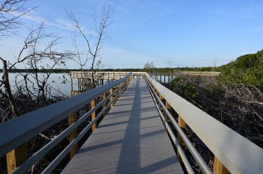 Batı Gölü kıyısındaki Boardwalk Everglades Ulusal Parkı, Florida, gün doğumunda.