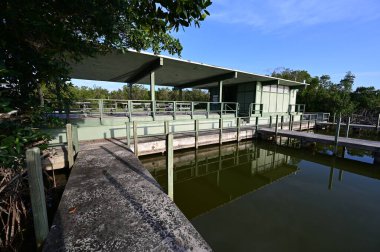 Batı Gölü 'ndeki piknik ve dinlenme alanı Everglades Ulusal Parkı, Florida.