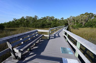 Everglades Ulusal Parkı, Florida 'da Mahogany Hamağı tahta kaldırımı.