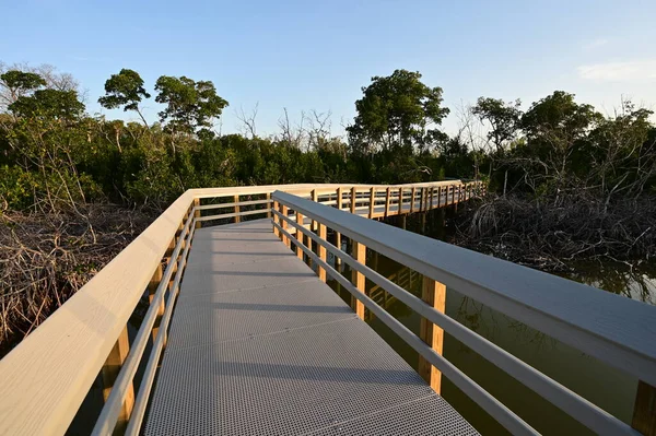 Batı Gölü kıyısındaki Boardwalk Everglades Ulusal Parkı, Florida, gün doğumunda.