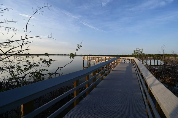 Batı Gölü kıyısındaki Boardwalk Everglades Ulusal Parkı, Florida, gün doğumunda.