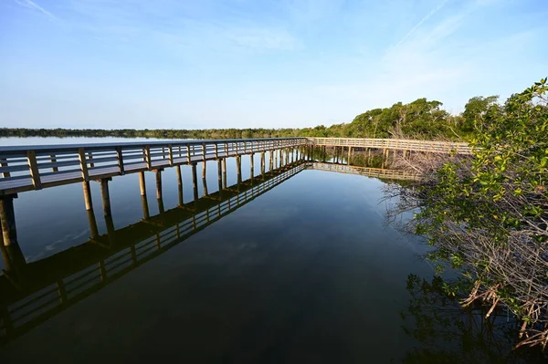 Batı Gölü kıyısındaki Boardwalk Everglades Ulusal Parkı, Florida, gün doğumunda.