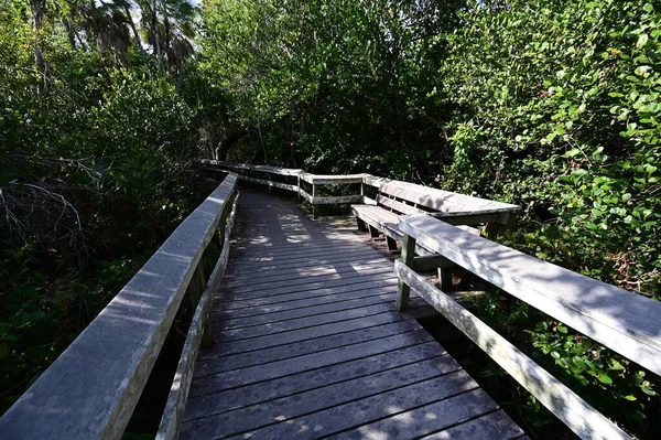 Everglades Ulusal Parkı, Florida 'da Mahogany Hamağı tahta kaldırımı.