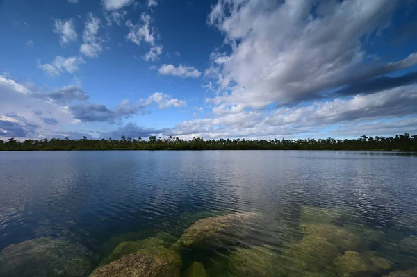 플로리다주, 에버글레이즈 국립 공원에 있는 파인 글래이즈 호수. — 스톡 사진