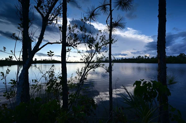 Nel tardo pomeriggio paesaggio nuvoloso sul lago Pine Glades nel Parco Nazionale delle Everglades. — Foto Stock
